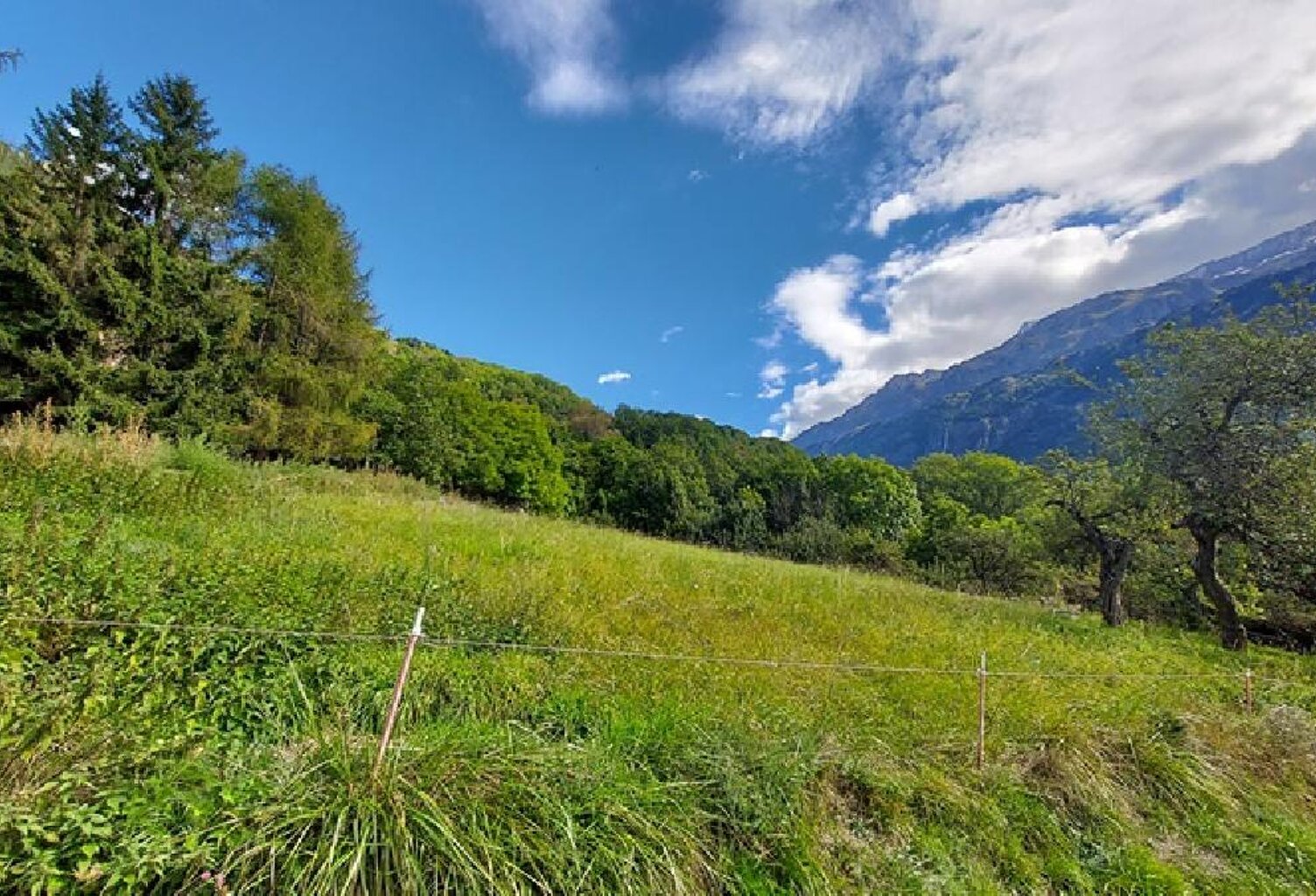 Terrain — photo 1