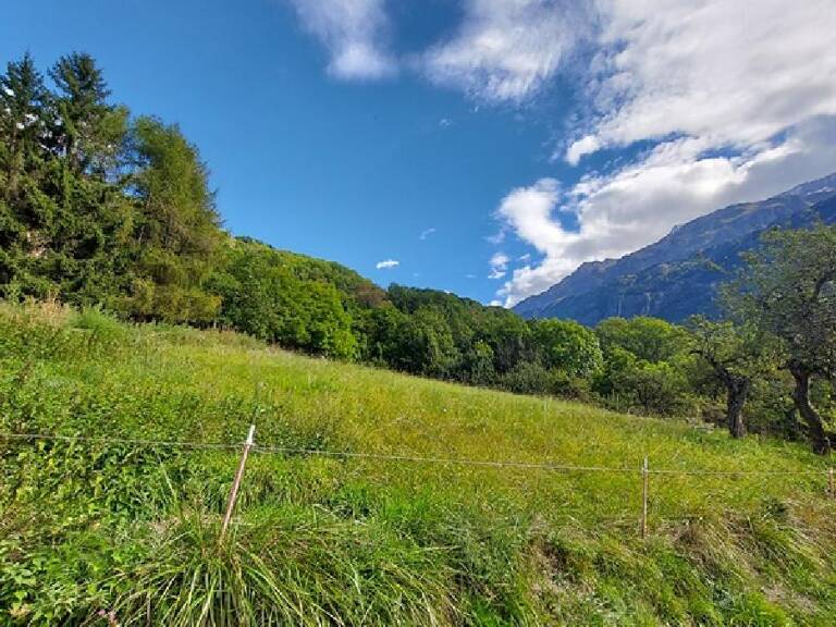 Terrain — photo 1