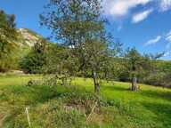 Terrain — photo 2