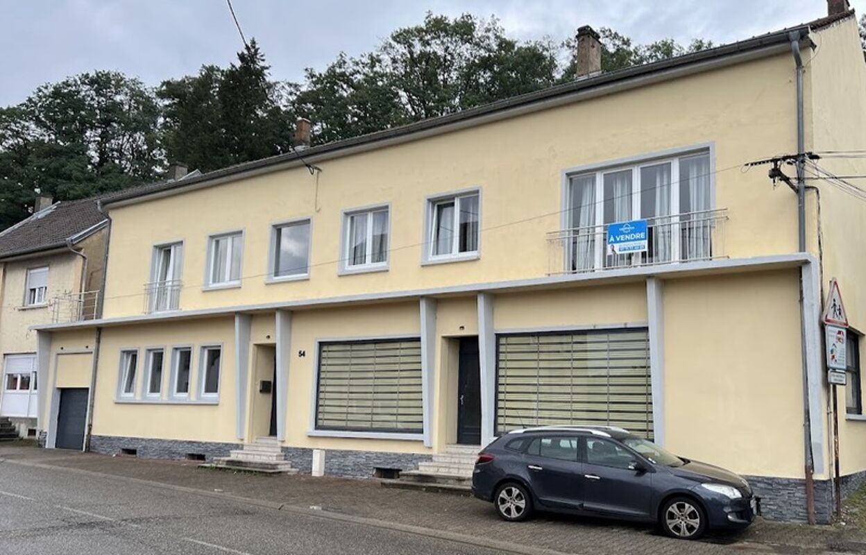 immeuble  pièces 340 m2 à vendre à Petite-Rosselle (57540)