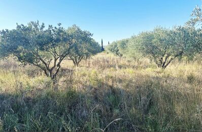 vente terrain 19 800 € à proximité de Usclas-d'Hérault (34230)