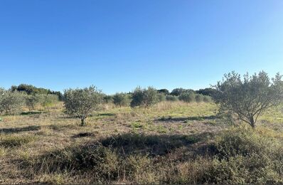 vente terrain 30 800 € à proximité de Usclas-d'Hérault (34230)