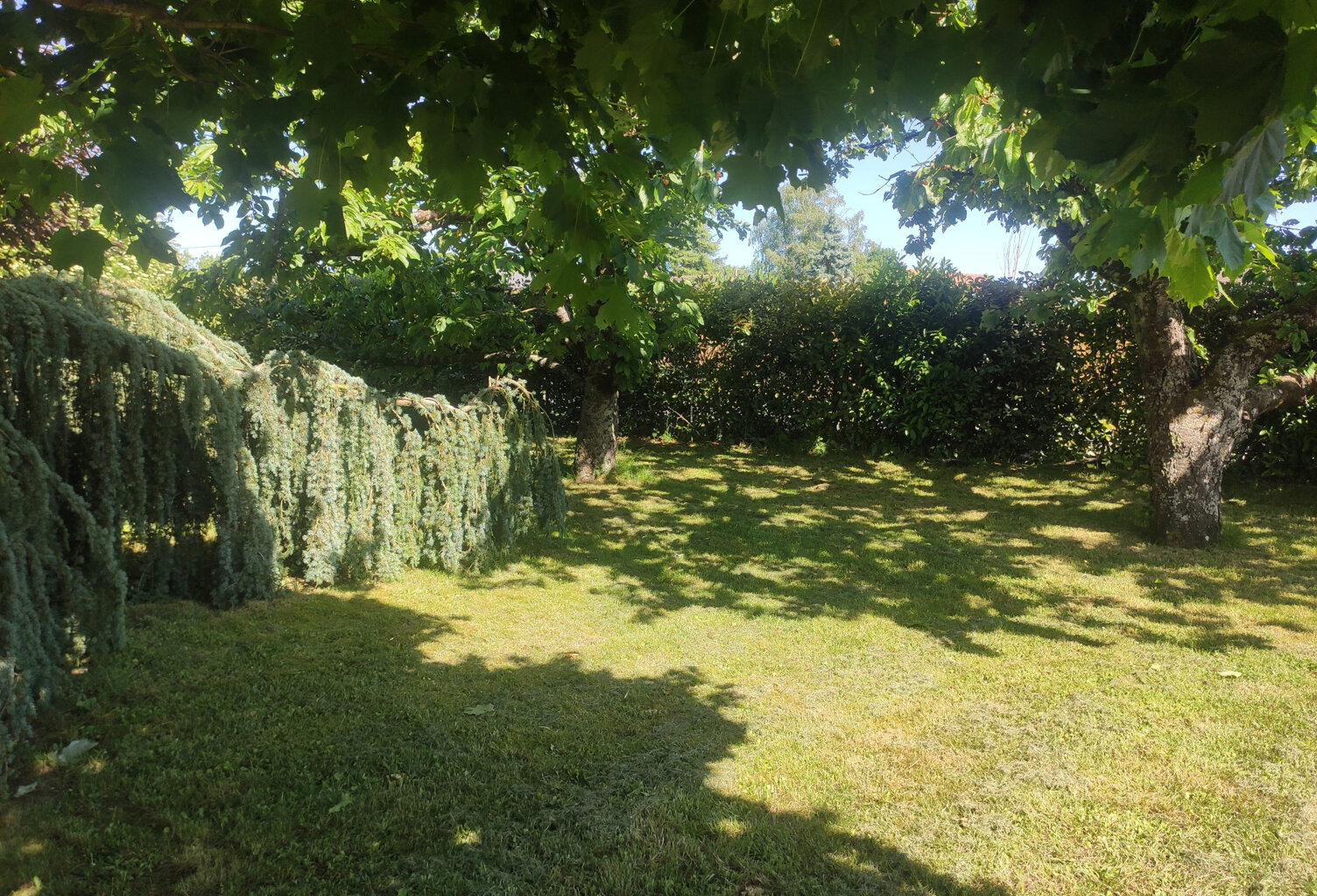 MAISON FAMILIALE - SAINT DYE SUR LOIRE — photo 1