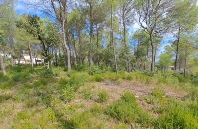 terrain  pièces 750 m2 à vendre à Montferrier-sur-Lez (34980)