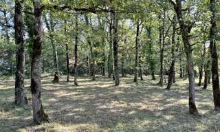 Terrain  1536 m² à vendre à Villefranche-de-Rouergue (12200)