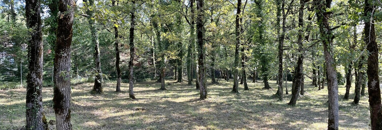 Terrain  1536 m² à vendre à Villefranche-de-Rouergue (12200)