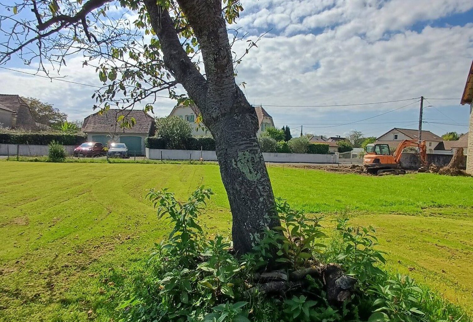 Terrain — photo 1