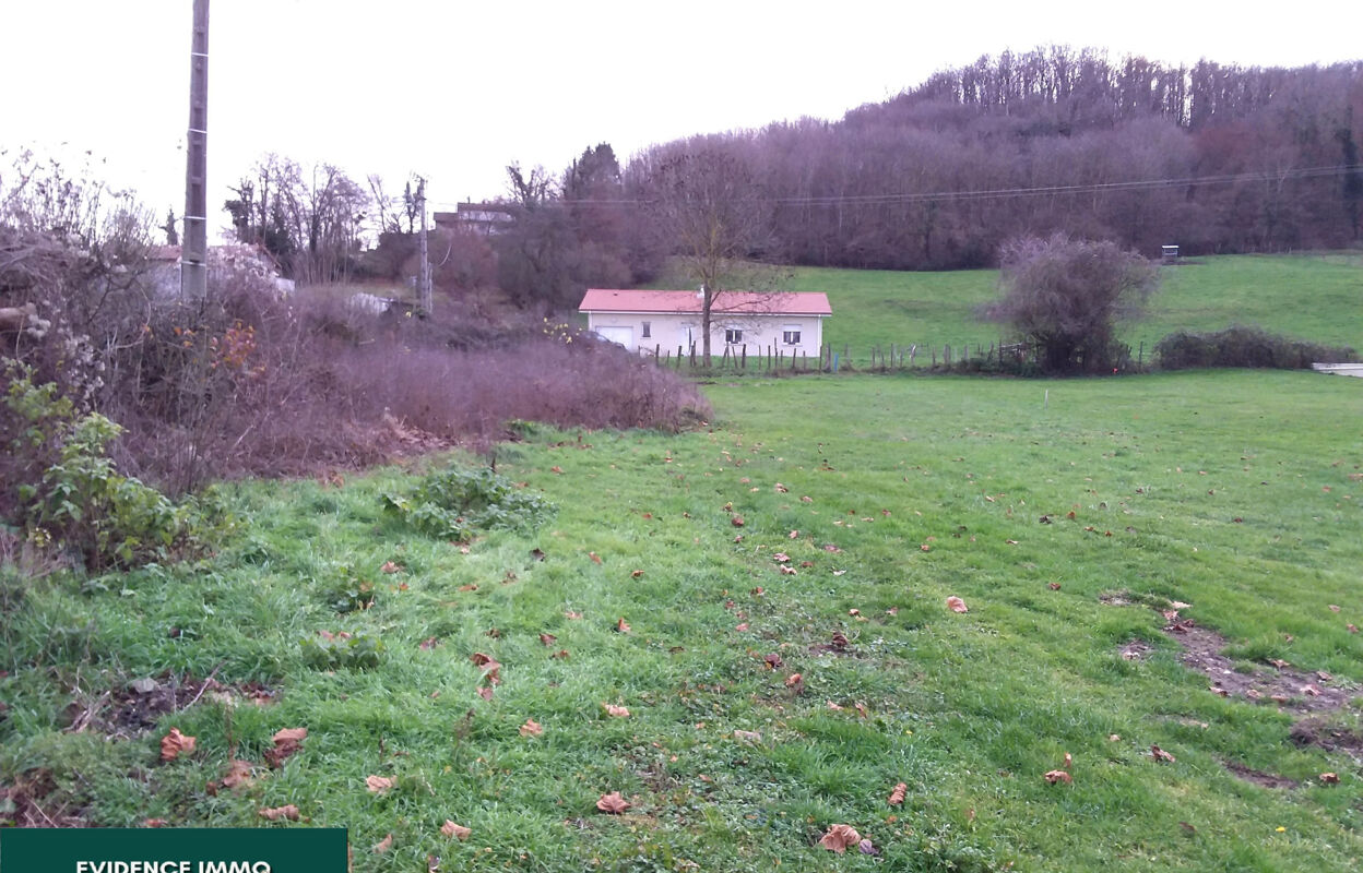 terrain  pièces 380 m2 à vendre à Nivolas-Vermelle (38300)