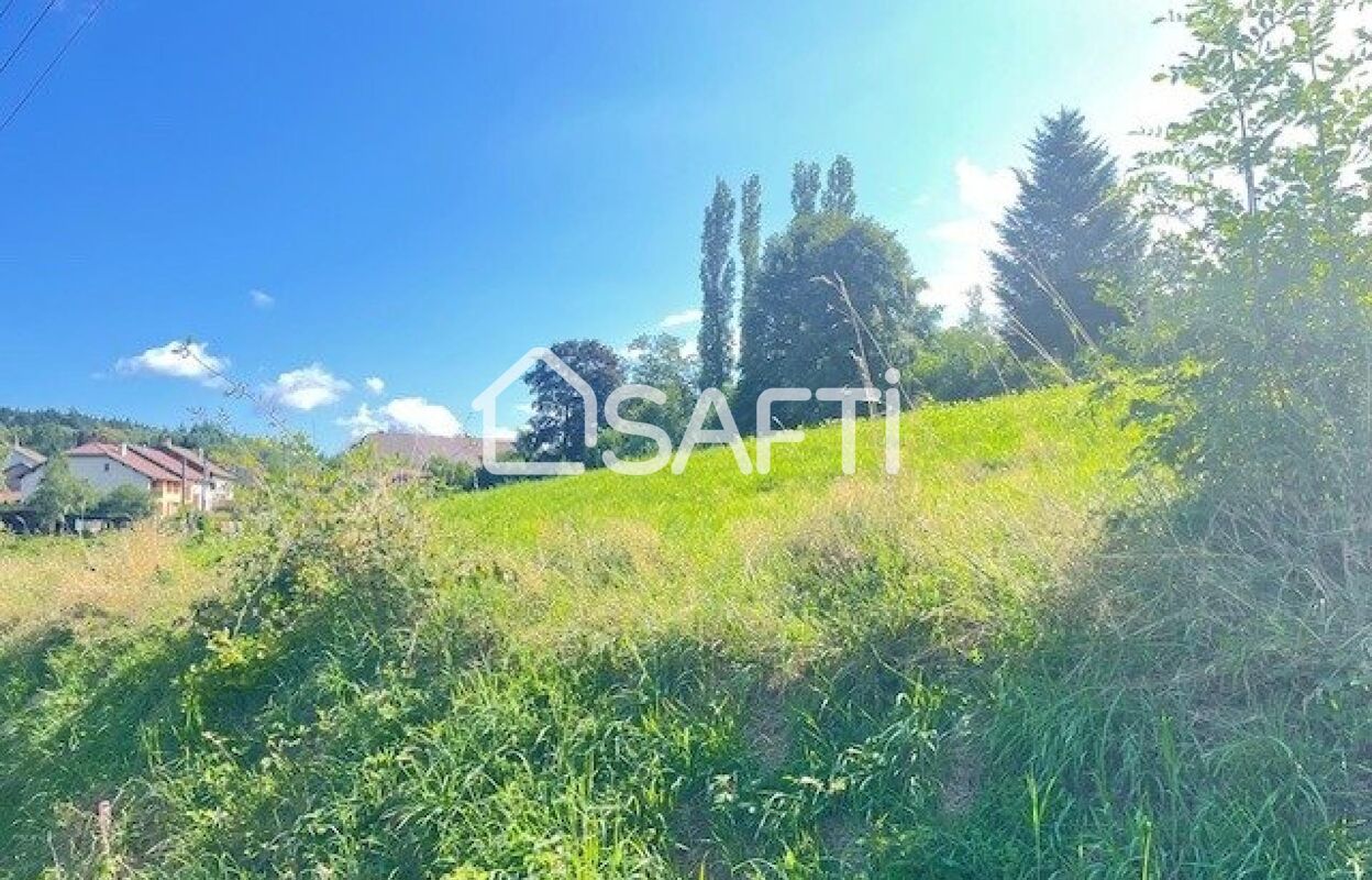 terrain  pièces 3865 m2 à vendre à Ban-de-Laveline (88520)