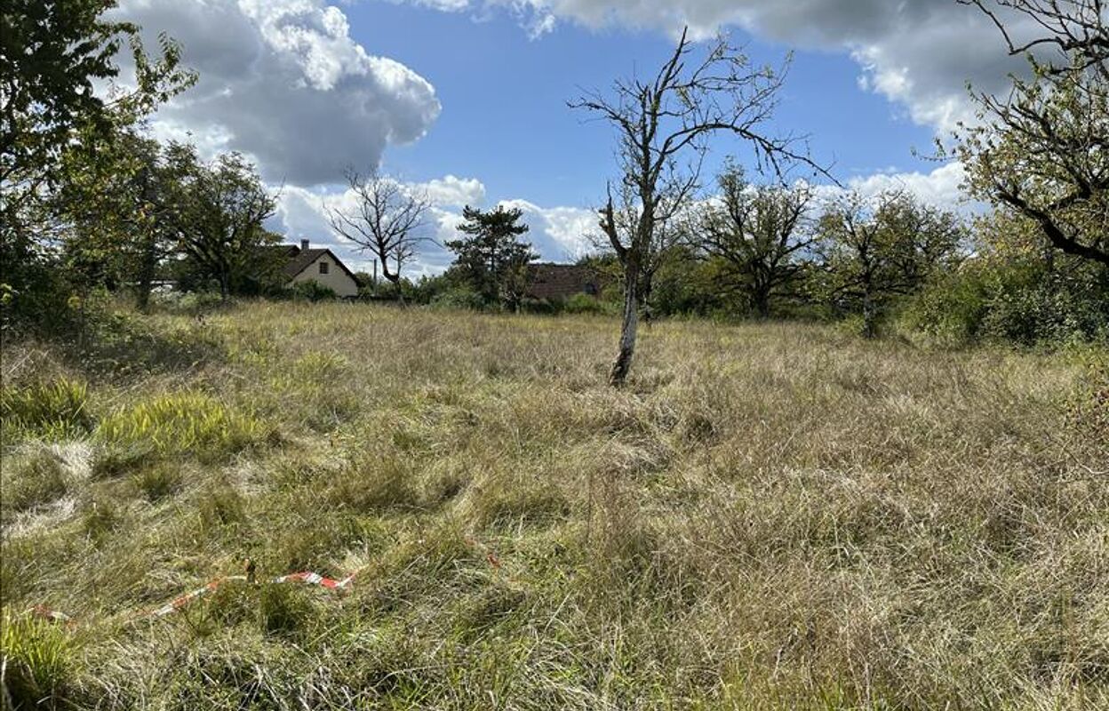 terrain  pièces 2870 m2 à vendre à Jugeals-Nazareth (19500)