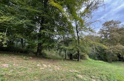 vente terrain 108 500 € à proximité de Pardies-Piétat (64800)