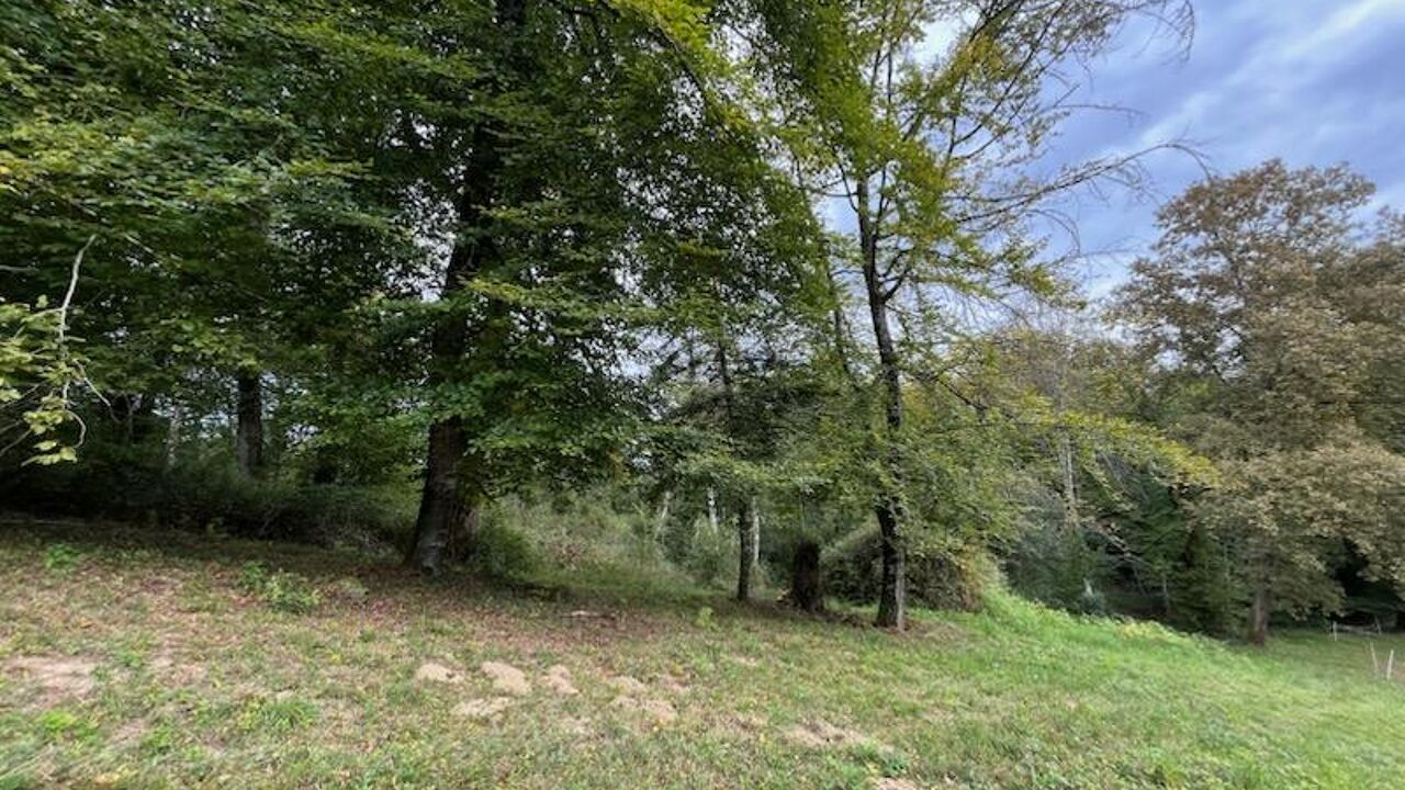 terrain  pièces 5830 m2 à vendre à Lasseube (64290)