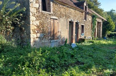 vente maison 45 000 € à proximité de La Selle-sur-le-Bied (45210)