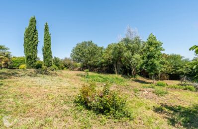 vente terrain 250 000 € à proximité de Chasselay (69380)