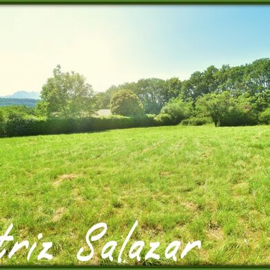 Terrain 3005 m²