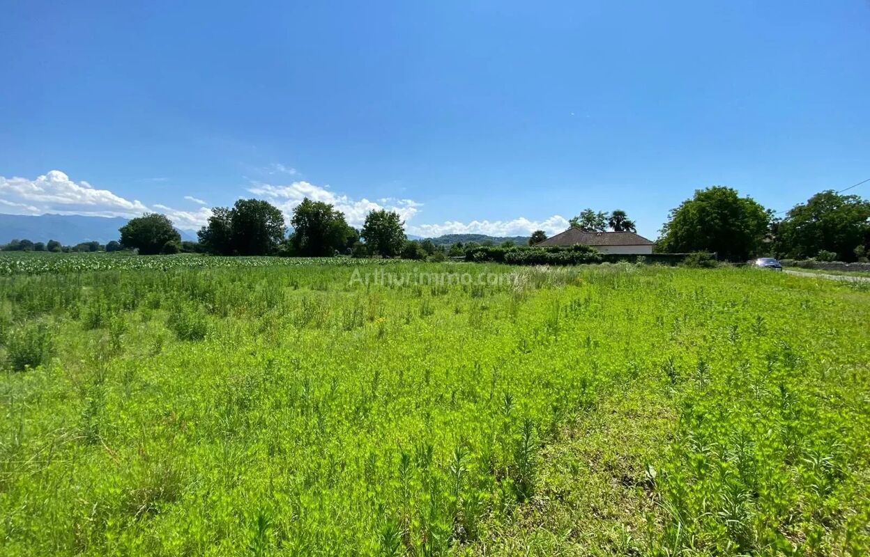 terrain  pièces 731 m2 à vendre à Baudreix (64800)