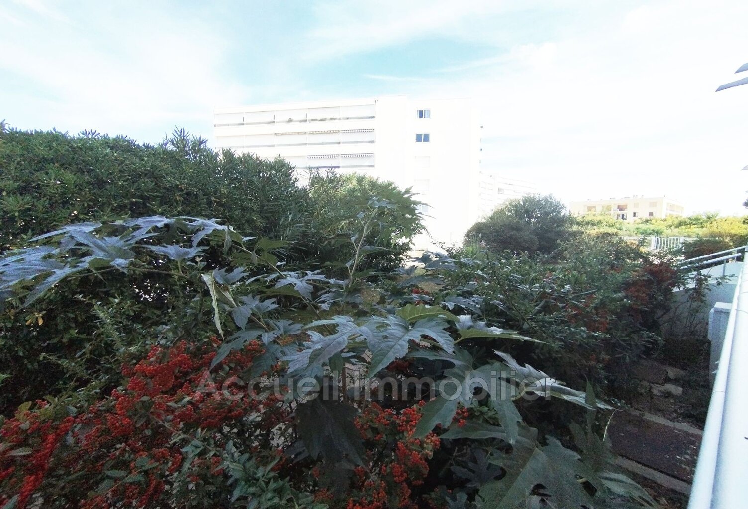 P3 en angle rez-de-chaussée surélevé avec aperçu latéral sur l — photo 1