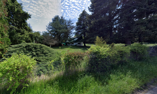 Photo N° 3