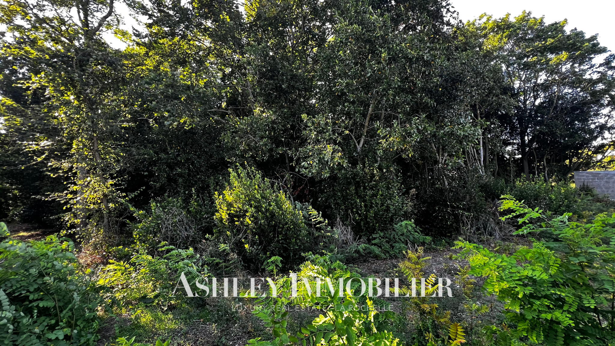 Terrain  à vendre Nieul-sur-Mer 17137