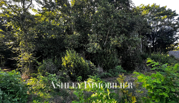 Terrain  à vendre Nieul-sur-Mer 17137