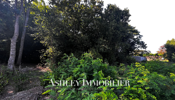 Terrain  à vendre Nieul-sur-Mer 17137