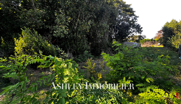 Terrain  à vendre Nieul-sur-Mer 17137