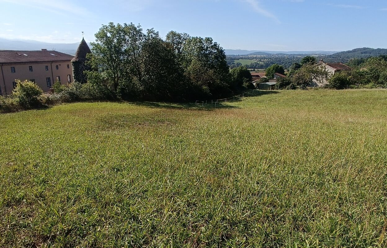 terrain  pièces 3271 m2 à vendre à Salzuit (43230)