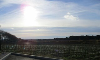 Photo N° 4