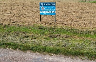 vente terrain 20 000 € à proximité de Saint-Loup-d'Ordon (89330)