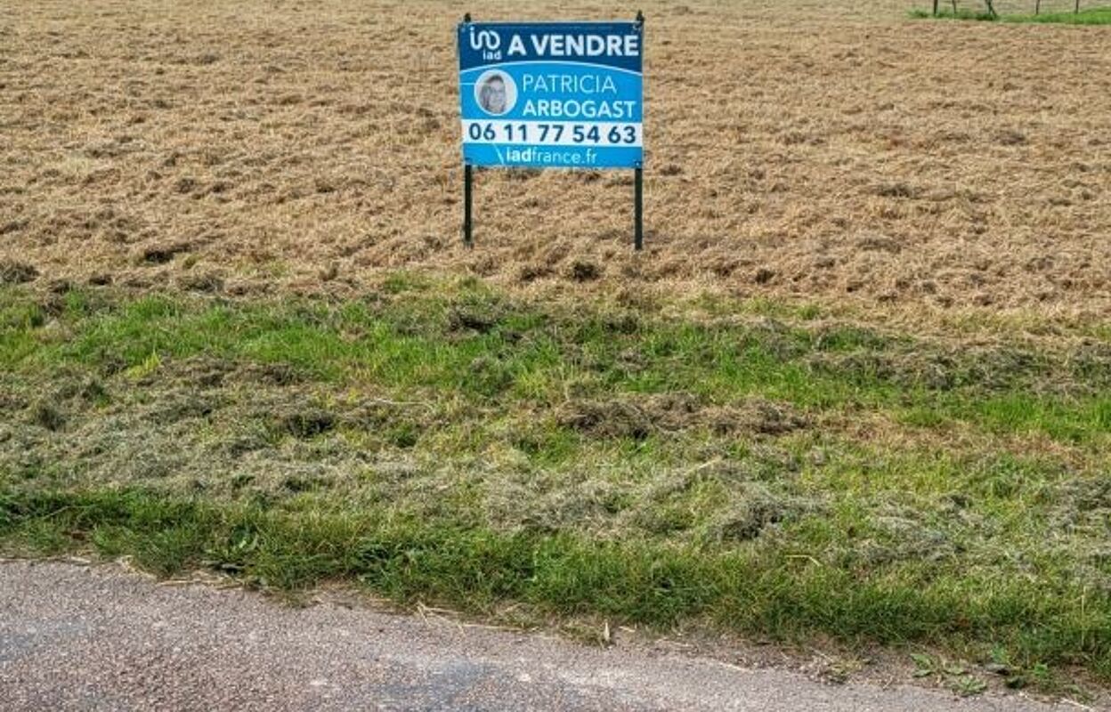 terrain  pièces 800 m2 à vendre à Ervauville (45320)