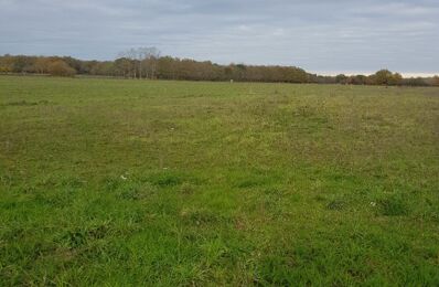 terrain  pièces 12000 m2 à vendre à Cavignac (33620)