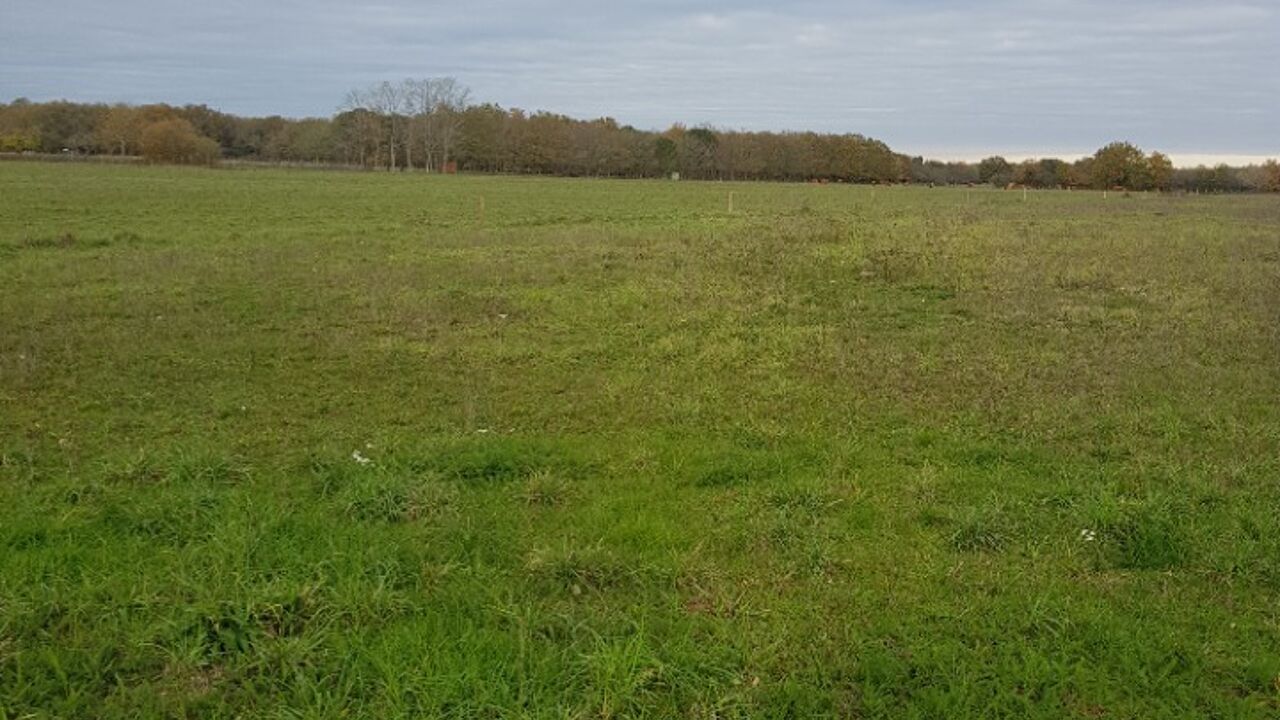 terrain  pièces 12000 m2 à vendre à Cavignac (33620)