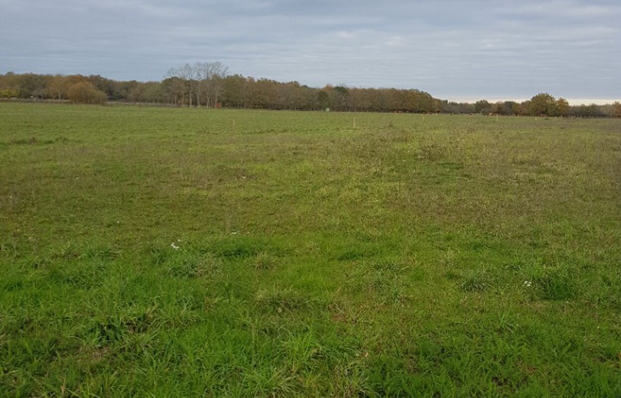 terrain  pièces 12000 m2 à vendre à Cavignac (33620)