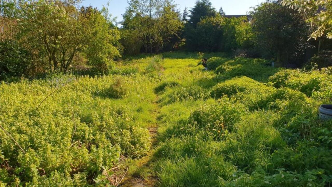 terrain  pièces 550 m2 à vendre à Fromelles (59249)