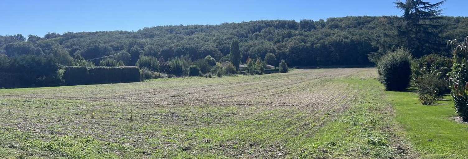 Terrain  23365 m² à vendre à Castelferrus (82100)