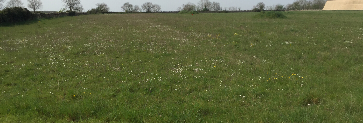 Terrain  1385 m² à vendre à Niort (79000)