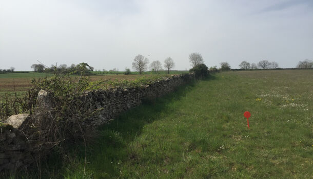 Terrain  à vendre Niort 79000