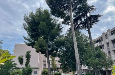 appartement 4 pièces 69 m2 à vendre à Toulon (83000)