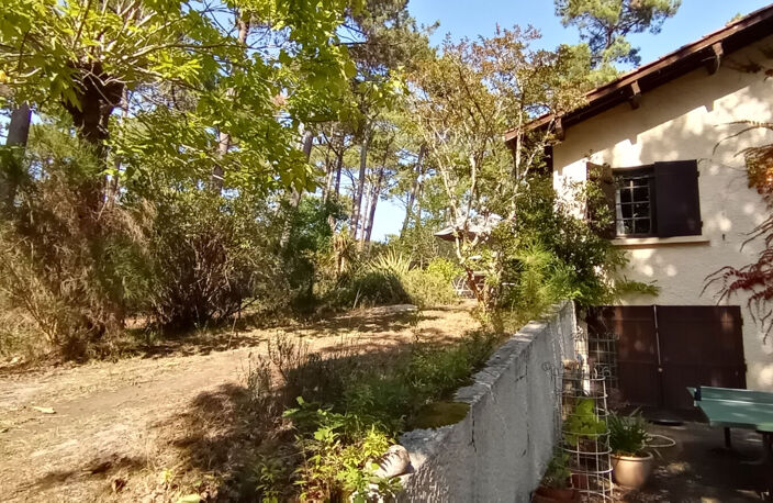 Maison en lisière de forêt à Claouey — photo 3