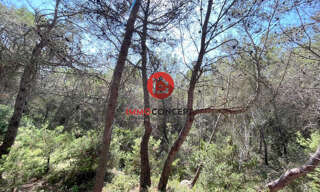 Terrain  14950 m² à vendre à Laudun-l'Ardoise (30290)