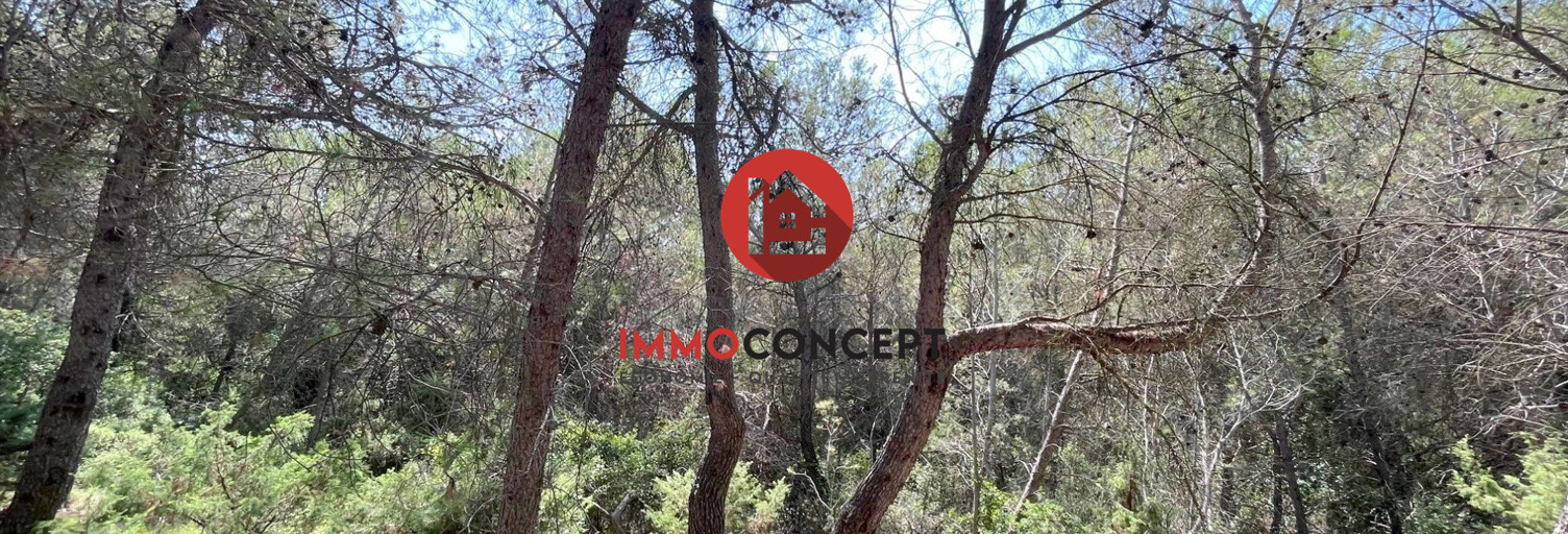 Terrain  14950 m² à vendre à Laudun-l'Ardoise (30290)