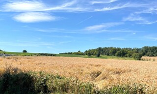 Photo N° 3