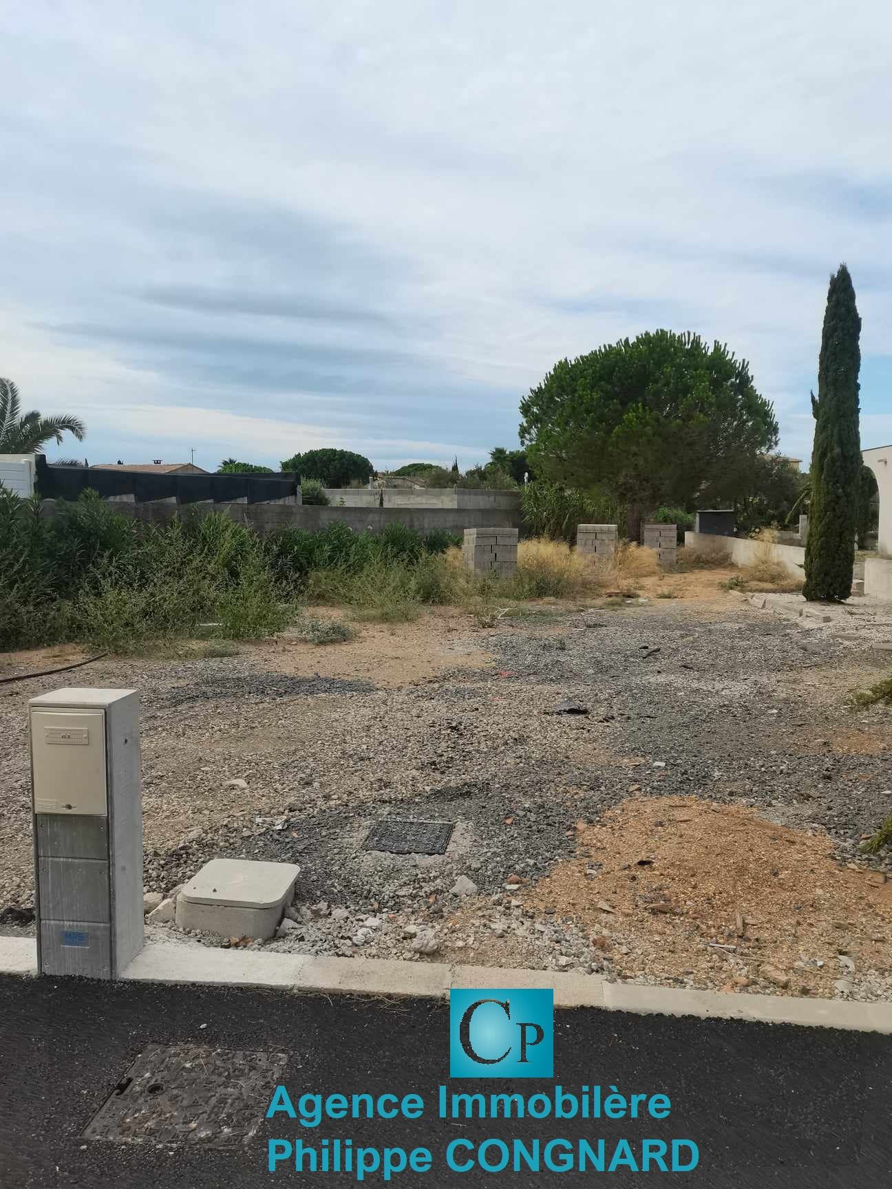 Terrain  à vendre Marseillan 34340