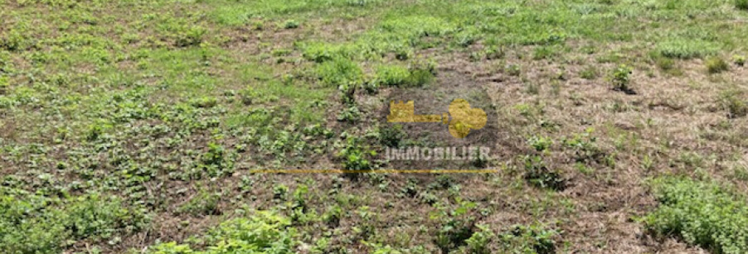 Terrain  995 m² à vendre à Saint-Martin-du-Frêne (01430)
