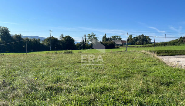 Terrain  à vendre Chélieu 38730