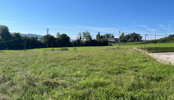 Terrain  à vendre Chélieu 38730
