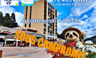 Appartement 2 Pièces 42 m² à vendre à Valdeblore (06420)