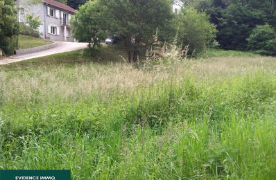 vente maison 255 000 € à proximité de Morestel (38510)