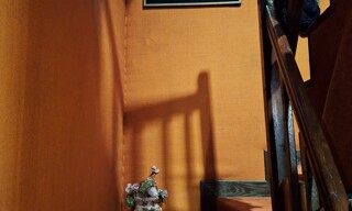 Photo N° 10