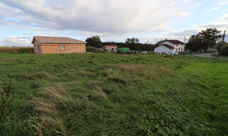 Photo N° 5